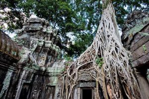 Angkor Wat tour