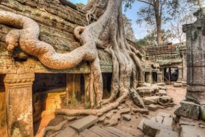 Angor Wat