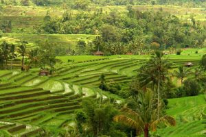 Countryside tour