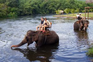 Kanchanaburi Elephant trekking tour