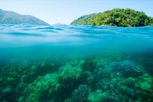 Koh Surin National Park