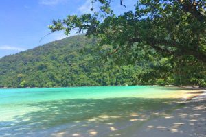 Surin National Park