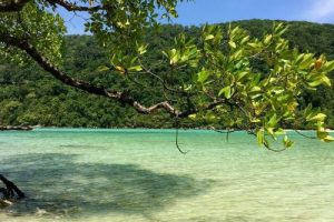 Surin Islands Snorkelling