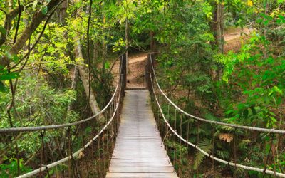 Tour Khao Yai