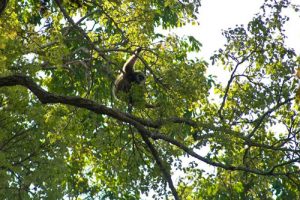 Tour Khao Yai