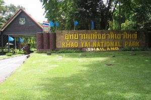 Tour Khao Yai