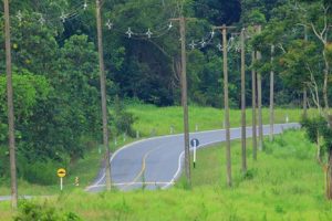 Tour Khao Yai