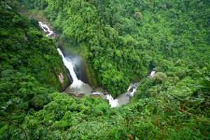 Tour Khao Yai