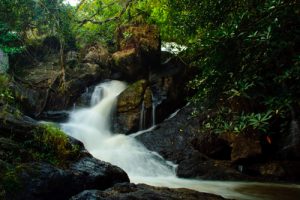 Tour Khao Yai