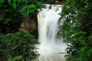 Tour Khao Yai