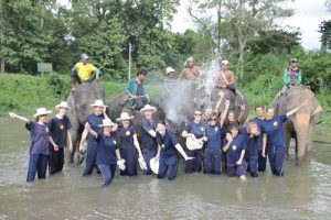 Trekking tour Elephant