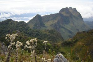 Viewpoint Mountain